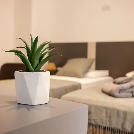 The Maltese Gem Séjour chez l'habitant *